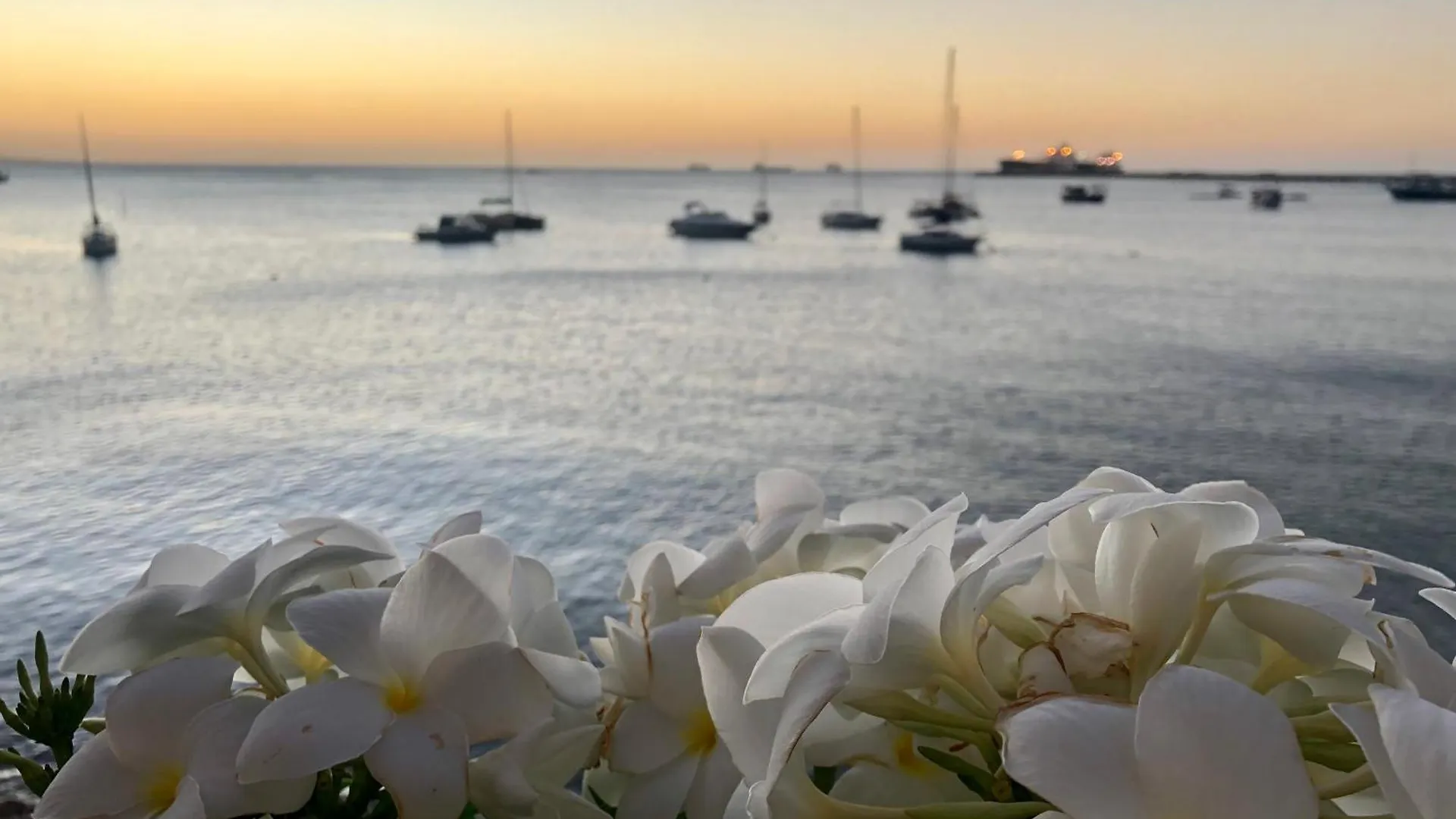Yacht Cost Residence Fortaleza  Brazil